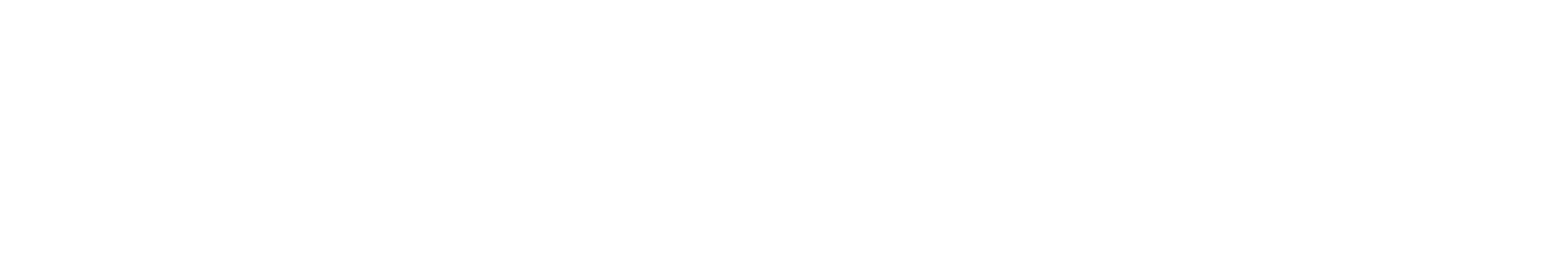 Meu Einstein